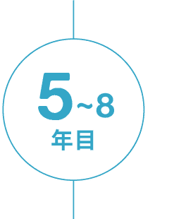 5~8年目