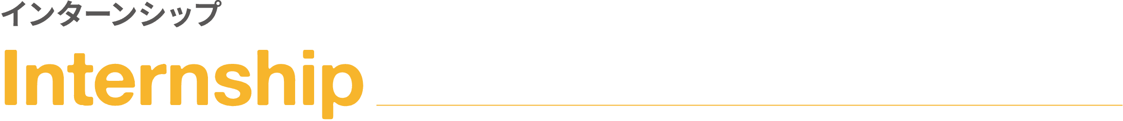インターンシップ｜Internship