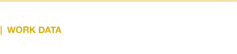 WORK DATA