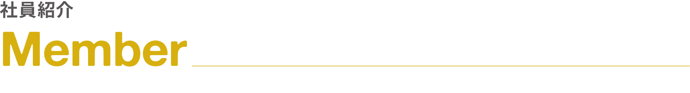 社員紹介｜Member